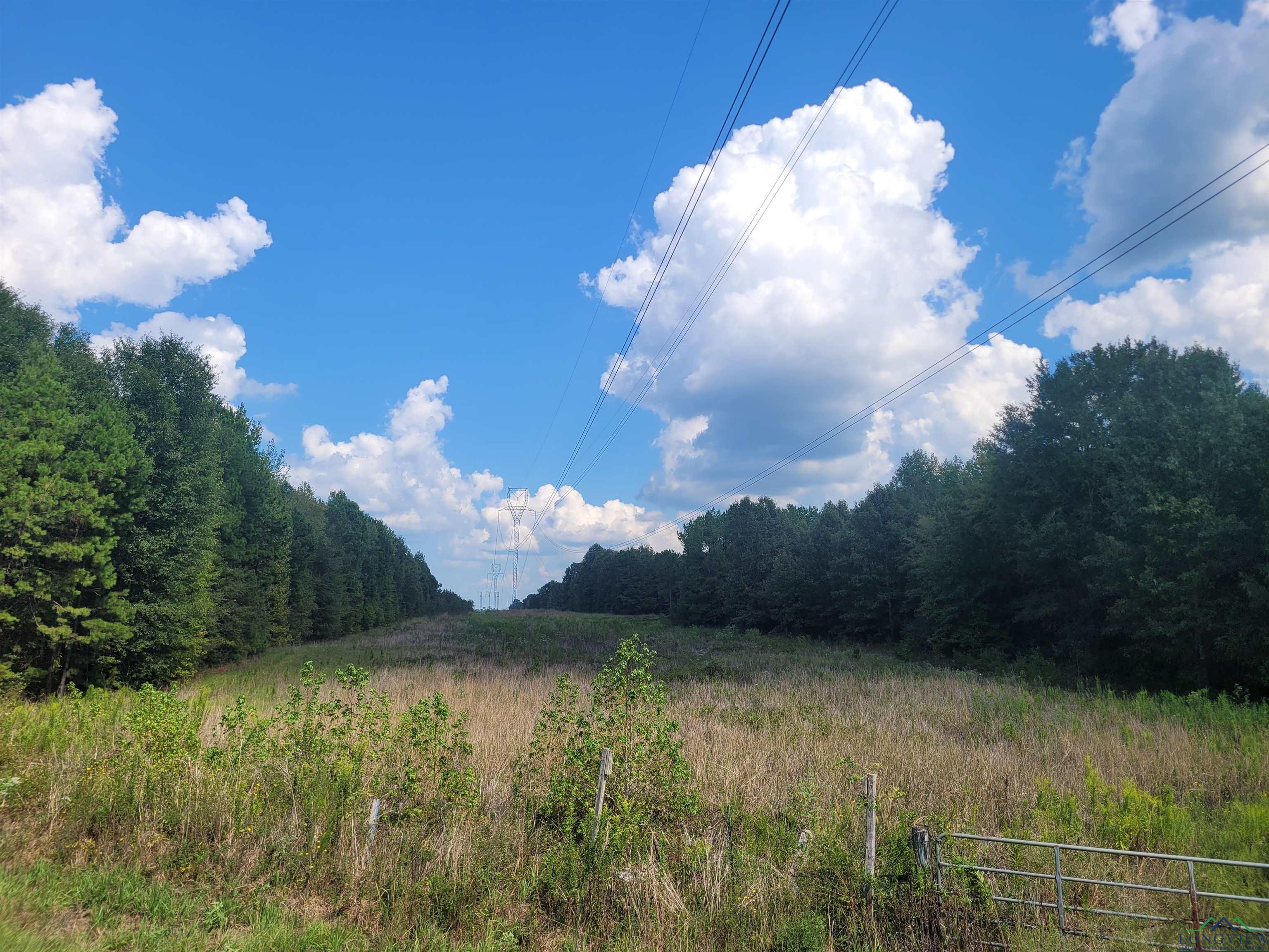 TBD Cr 155, Carthage, Texas image 2