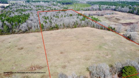 Vacant Land For Sale - TBD Cr 1460-4<br/> Linden, TX 75563