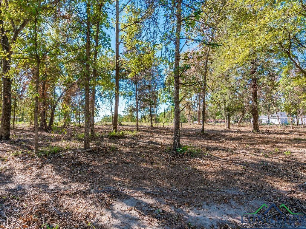 TBD Angus (lot 6), Big Sandy, Texas image 5