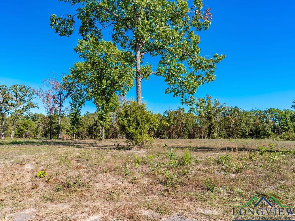 TBD Angus (lot 6), Big Sandy, Texas image 3