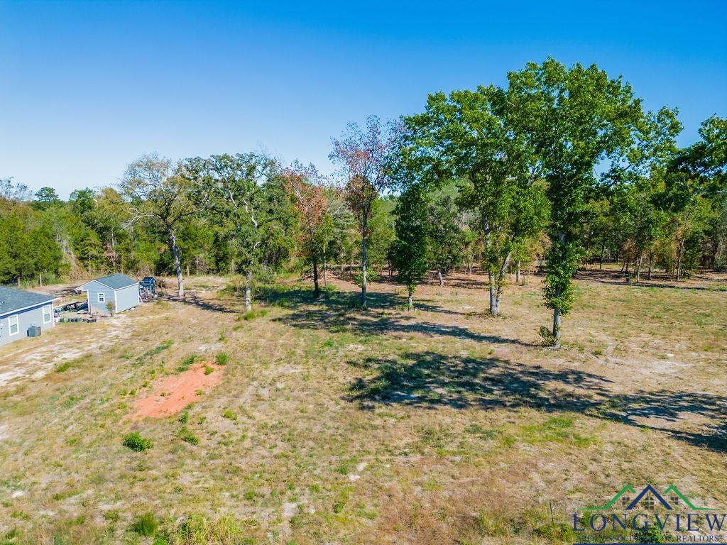 TBD Angus (lot 6), Big Sandy, Texas image 10