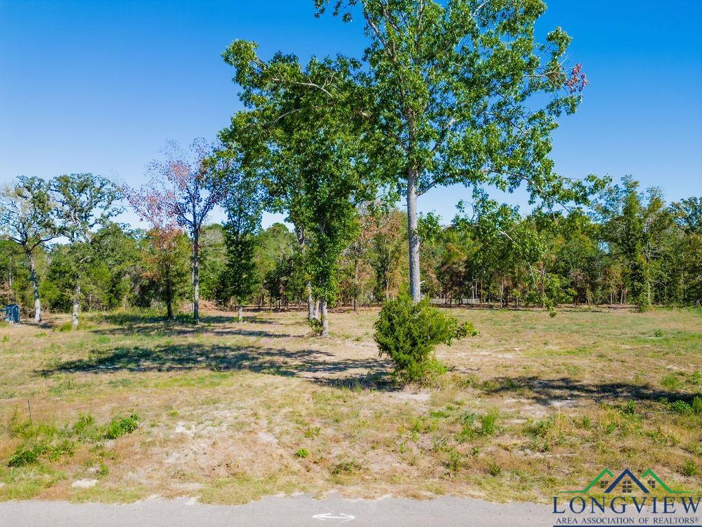 TBD Angus (lot 6), Big Sandy, Texas image 9