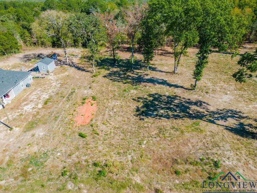 TBD Angus (lot 6), Big Sandy, Texas image 11