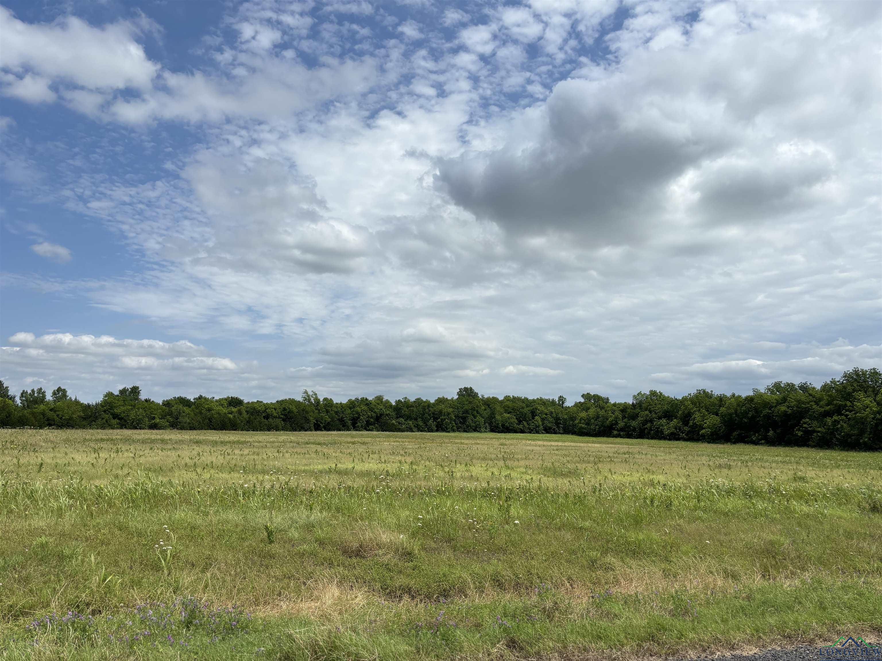 TBD Fm 137, Roxton, Texas image 19