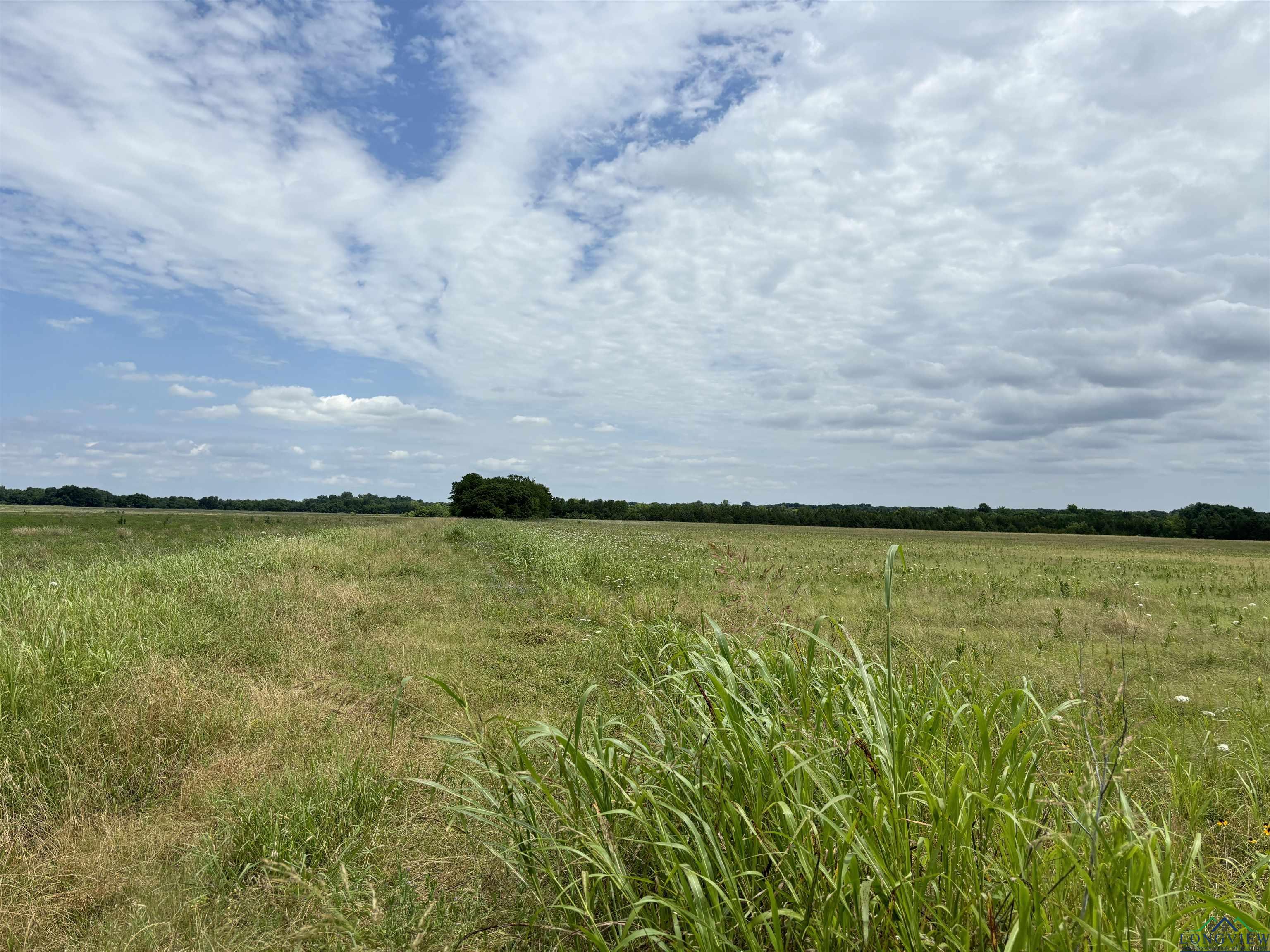 TBD Fm 137, Roxton, Texas image 16