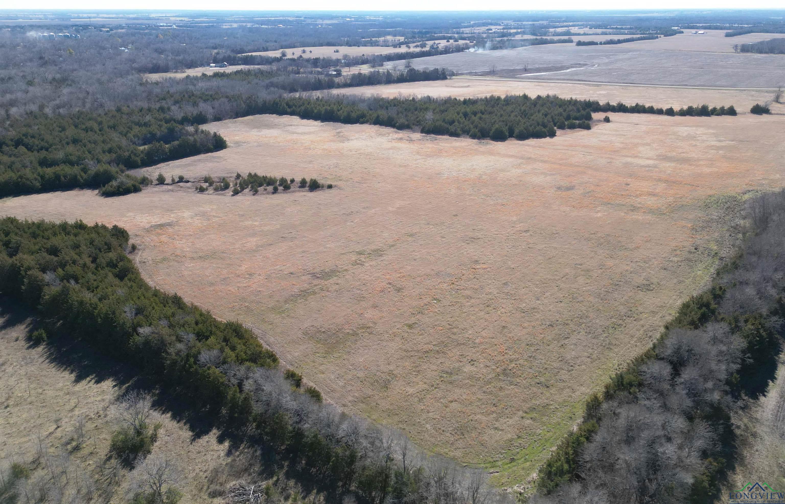 TBD Fm 137, Roxton, Texas image 10