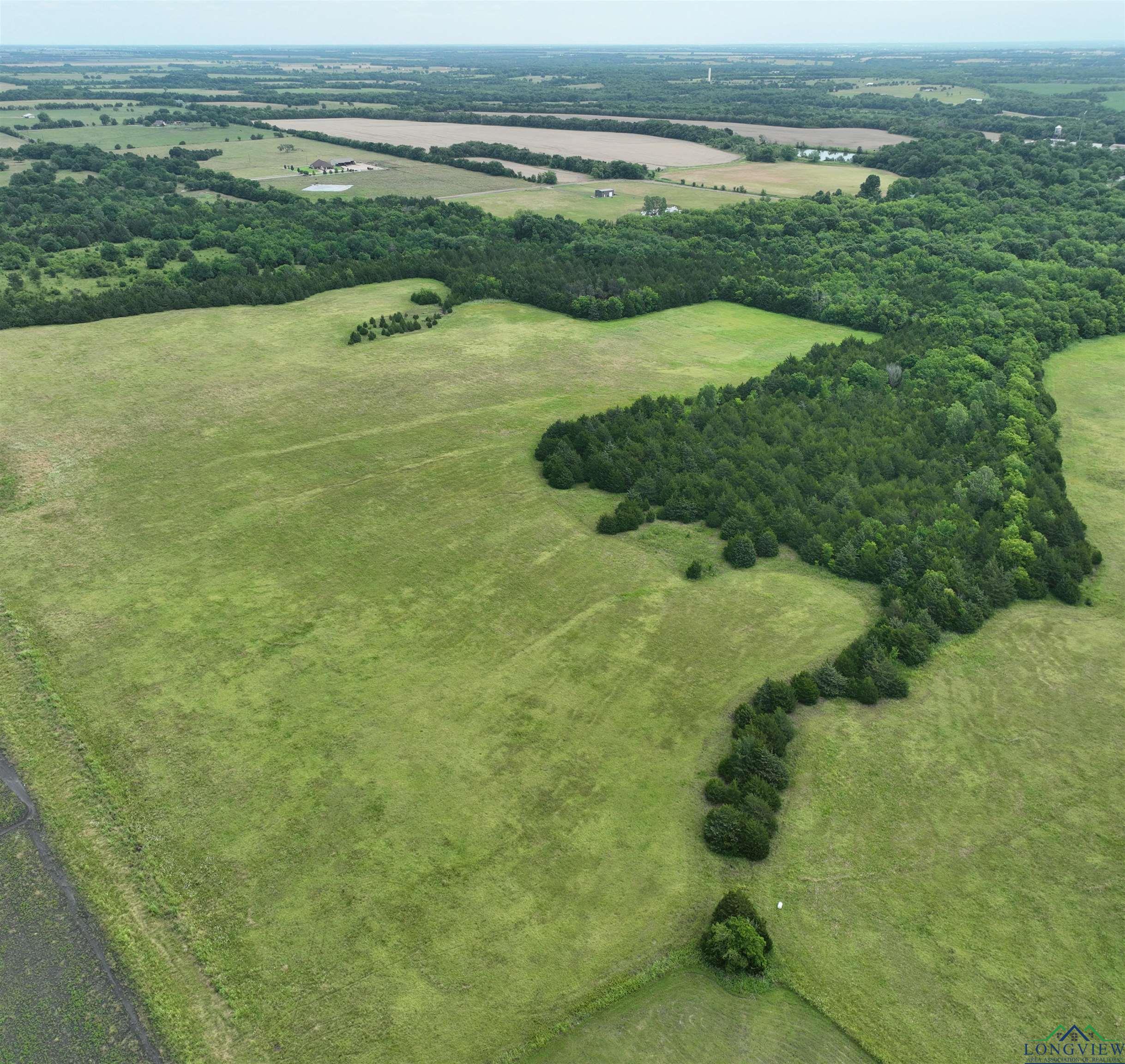 TBD Fm 137, Roxton, Texas image 1