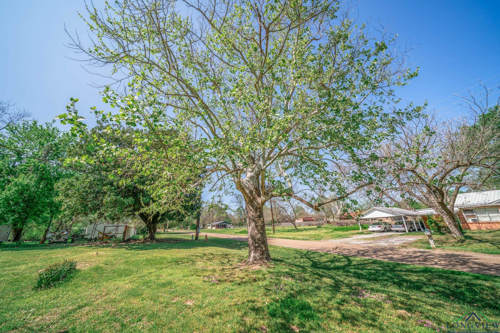 504 Wayne St, Omaha, Texas image 5