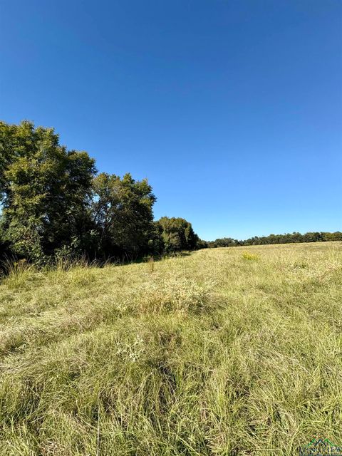 Vacant Land For Sale - 000 Cr 3414 (17.5)<br/> Jacksonville, TX 75766
