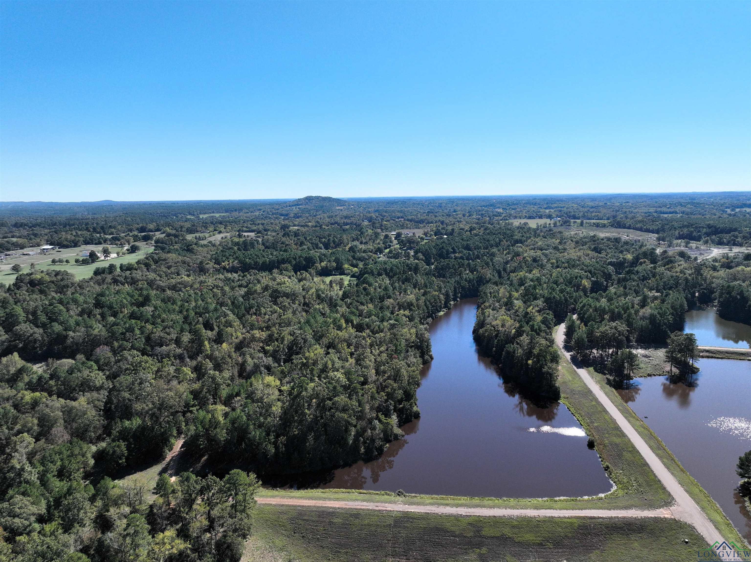 Lot 9 Princess Lane, Gilmer, Texas image 6