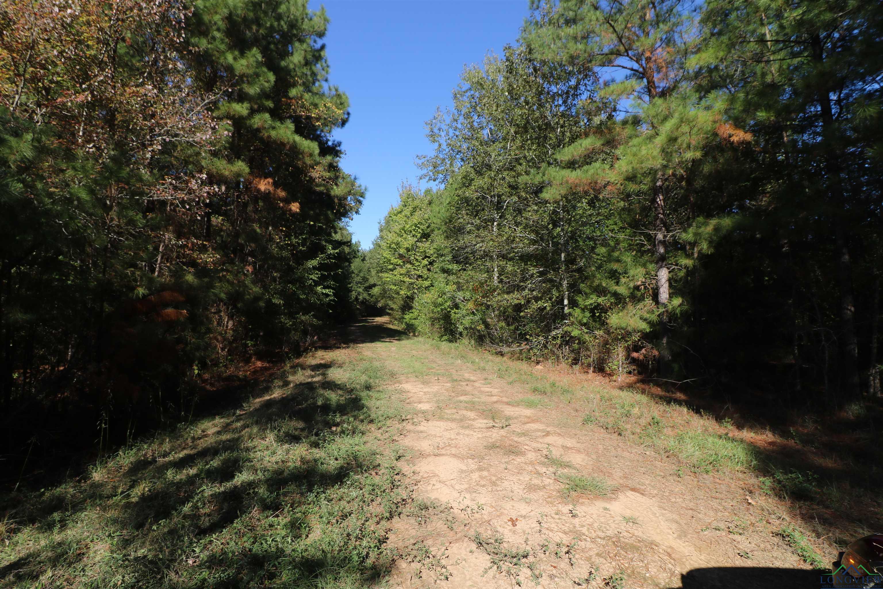 Lot 9 Princess Lane, Gilmer, Texas image 12