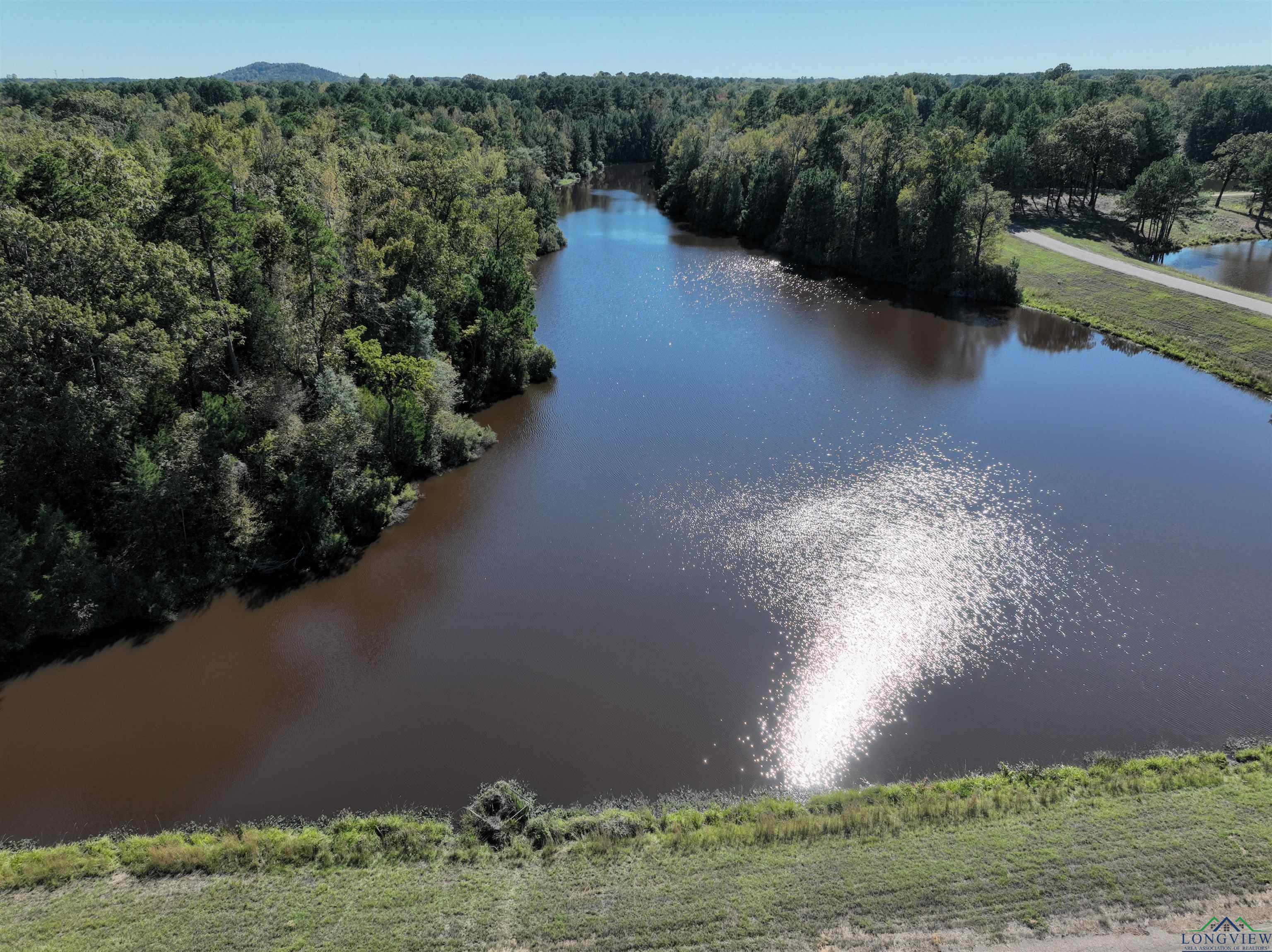 Lot 9 Princess Lane, Gilmer, Texas image 10