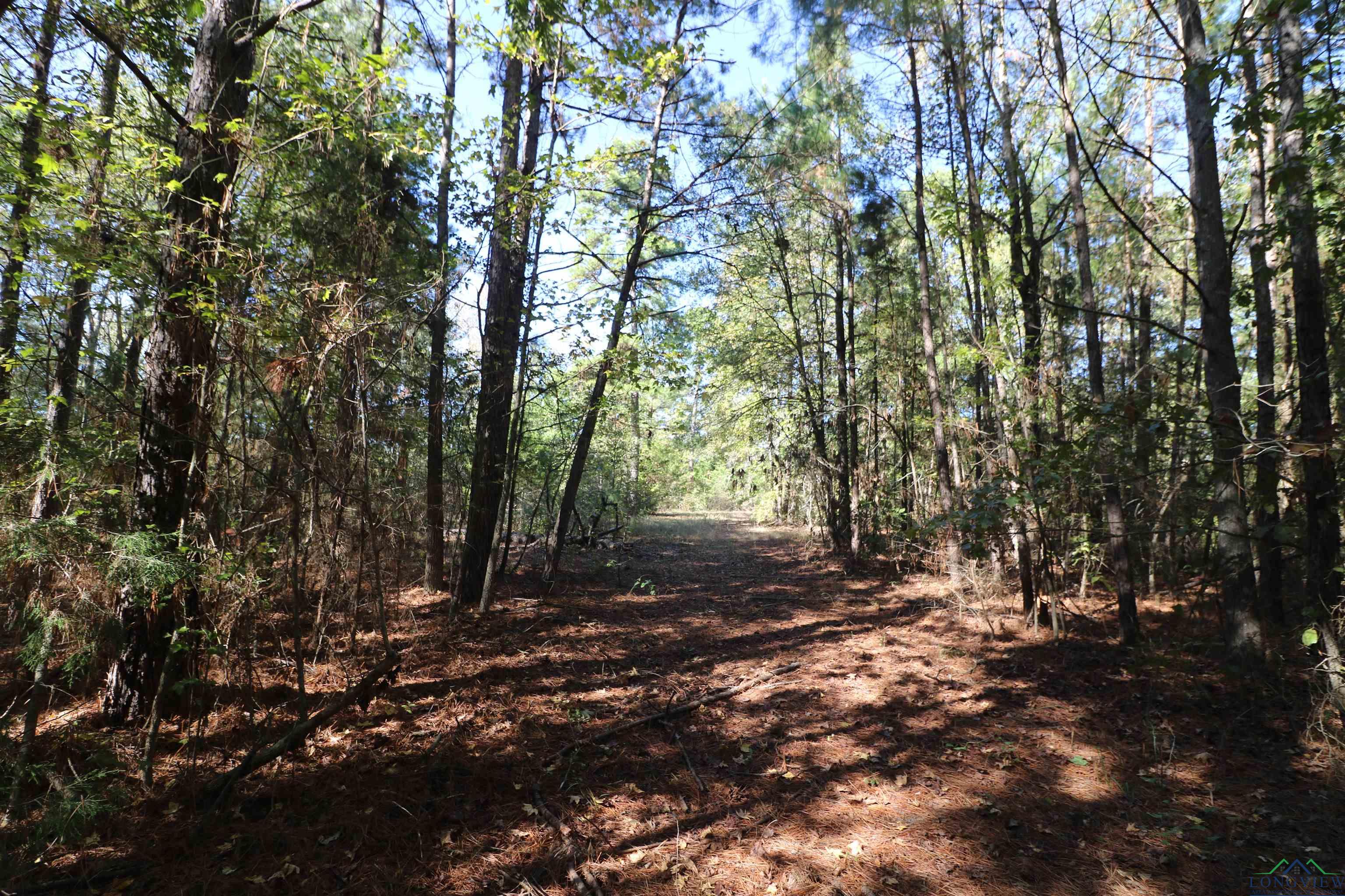 Lot 9 Princess Lane, Gilmer, Texas image 13