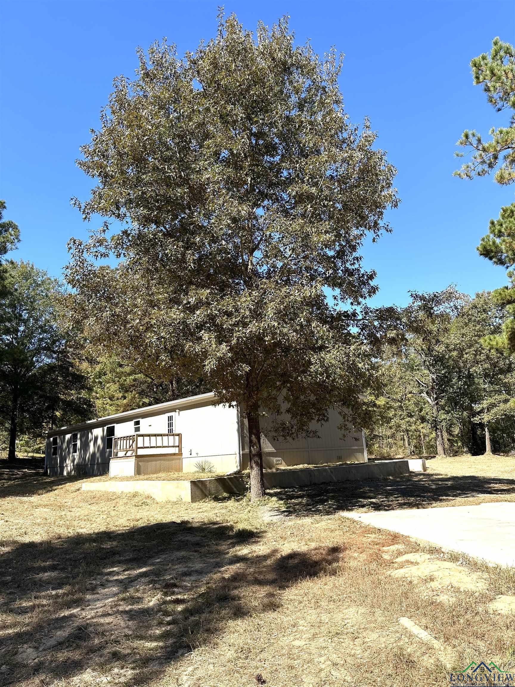 2946 County Road 4668, Bivins, Texas image 4