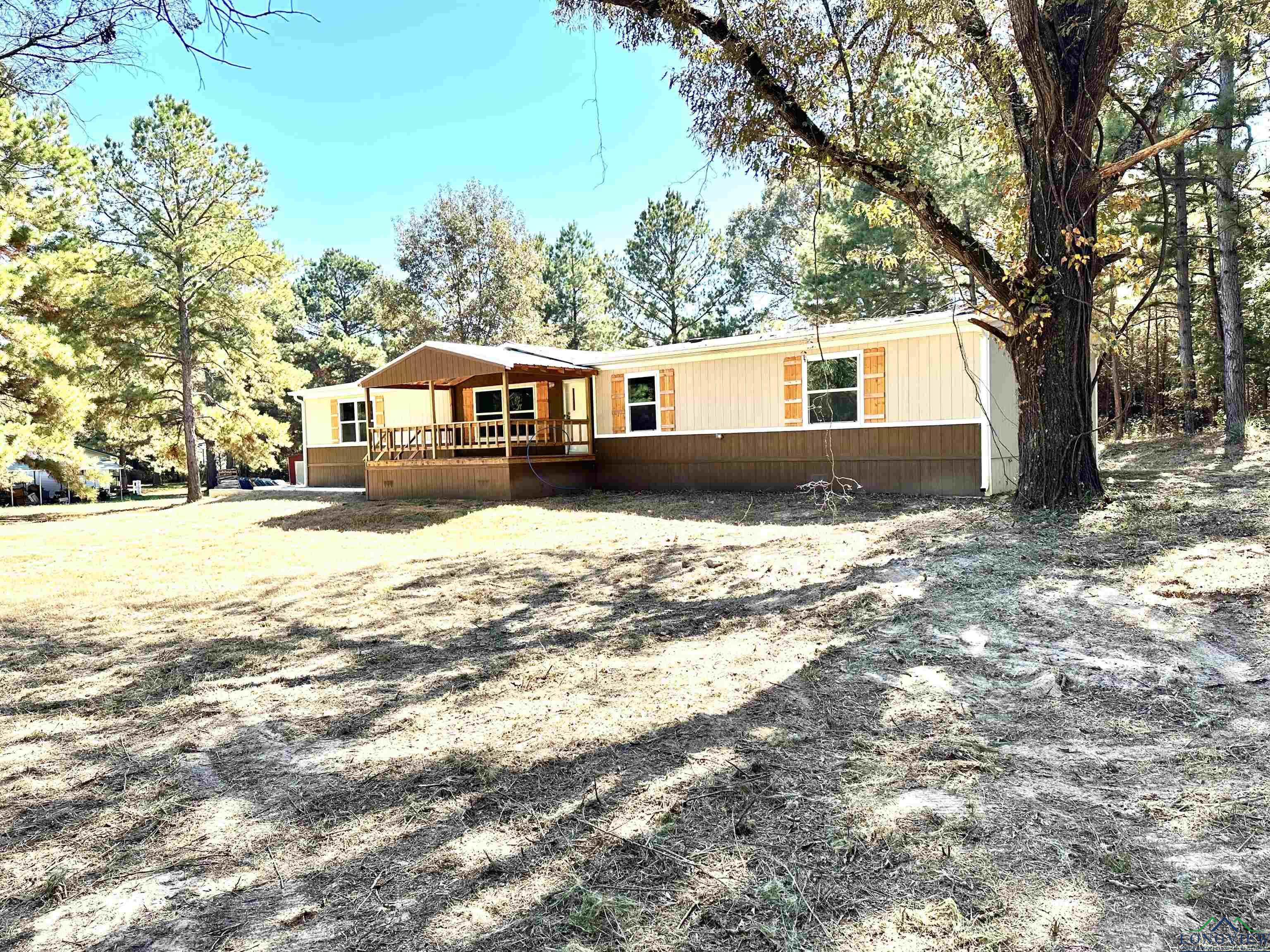 2946 County Road 4668, Bivins, Texas image 2