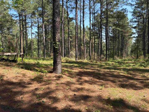 Vacant Land For Sale - 175 Mims Chapel Road<br/> Marion County, Avinger, TX 75630