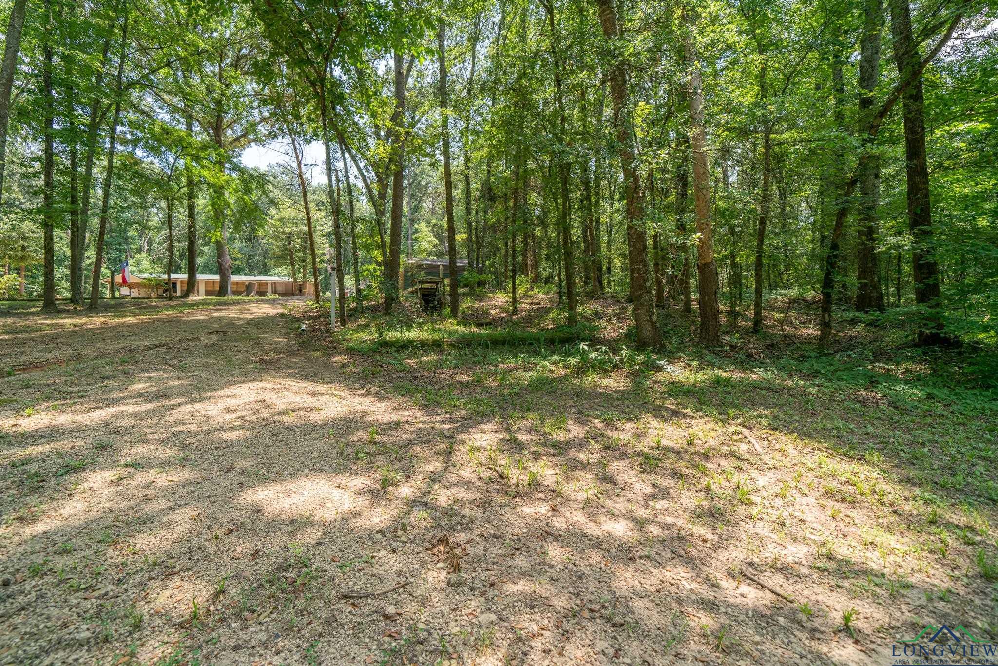 369 Private Road 3127, Cookville, Texas image 42