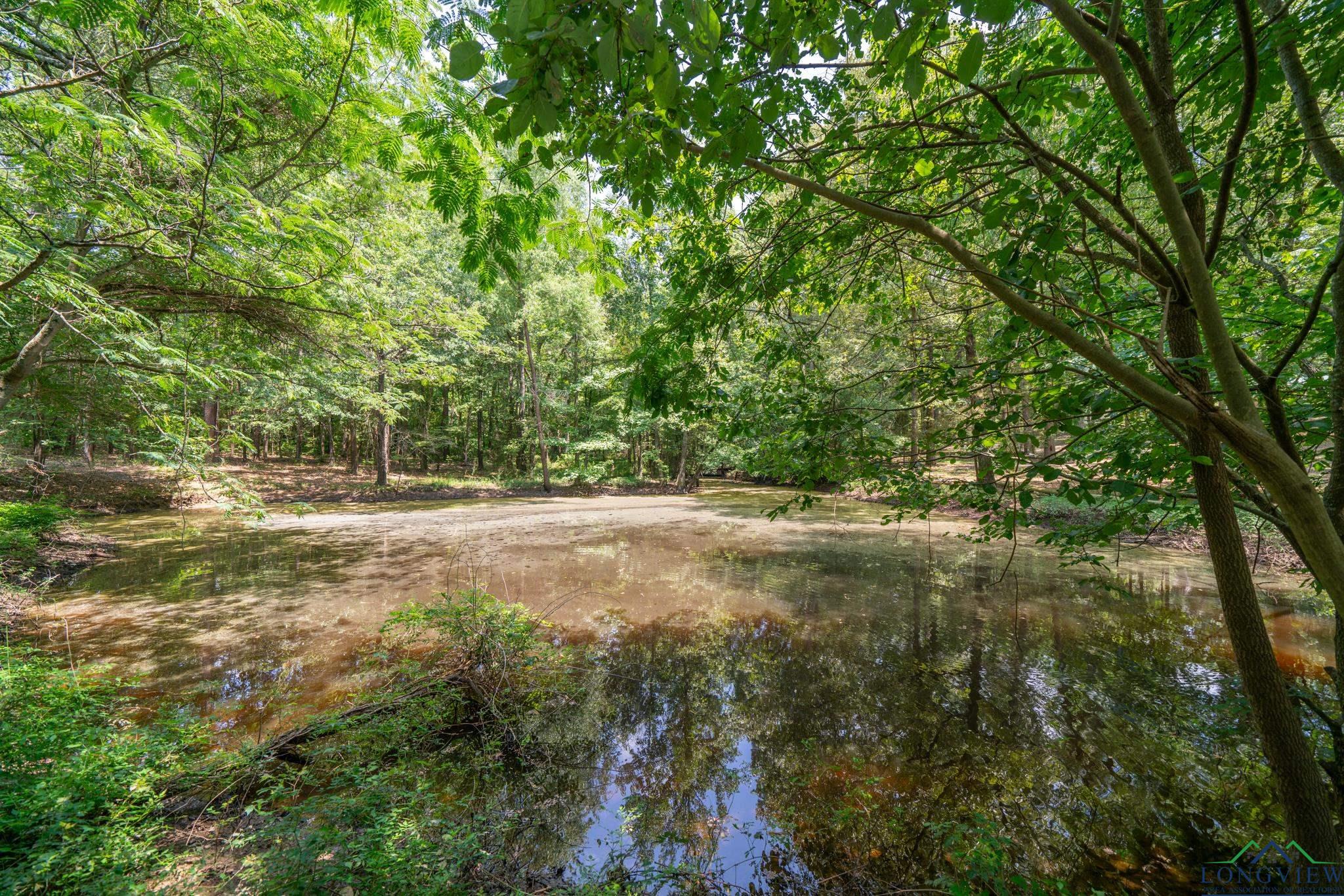 369 Private Road 3127, Cookville, Texas image 39