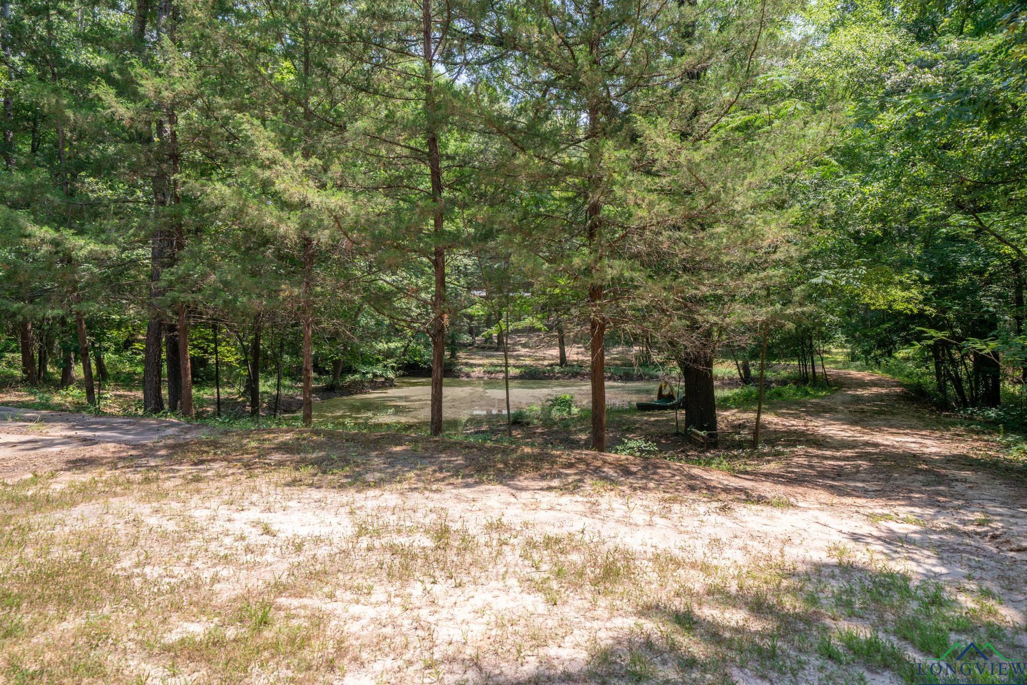 369 Private Road 3127, Cookville, Texas image 50