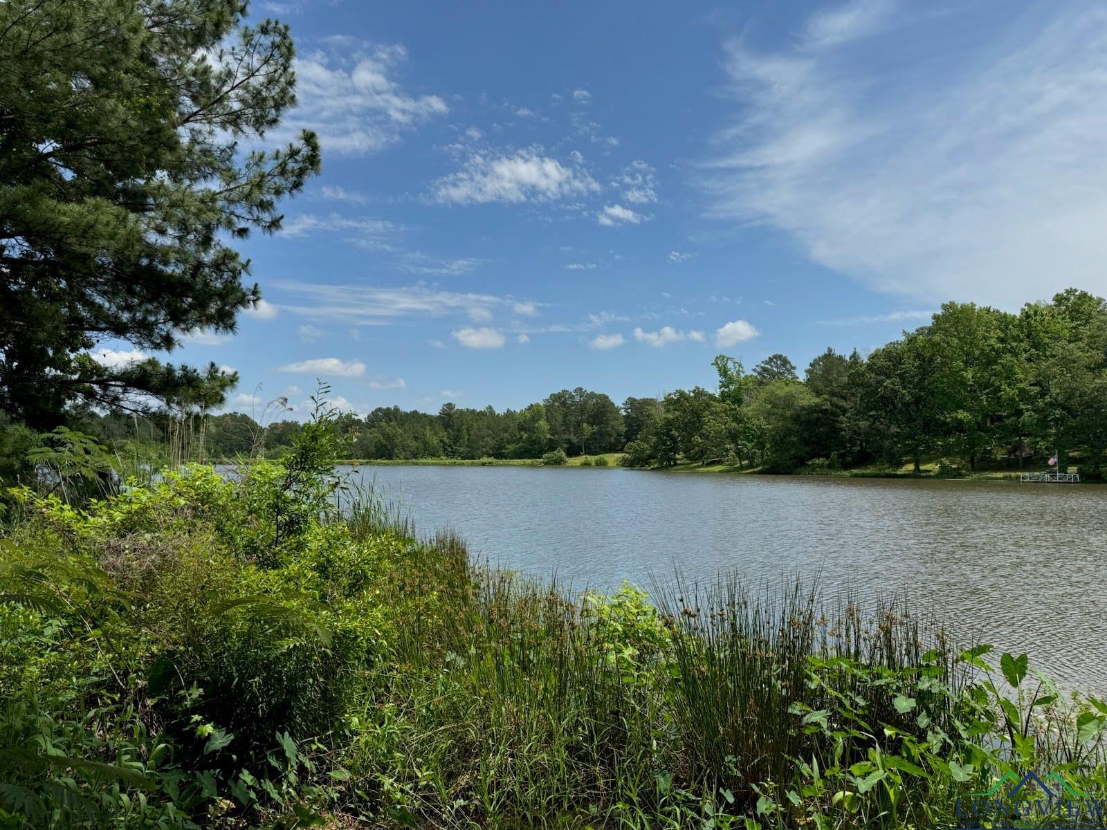 TBD Florey Lake, Kilgore, Texas image 1