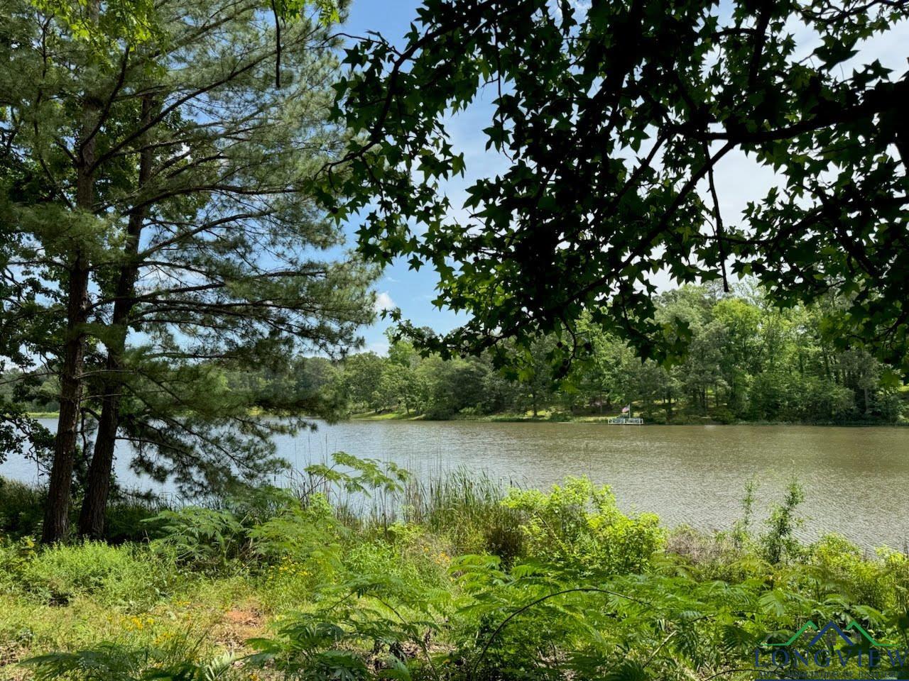 TBD Florey Lake, Kilgore, Texas image 3