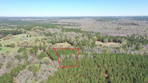 Vacant Land For Sale - 0000 County Road 1926<br/> Linden, TX 75563