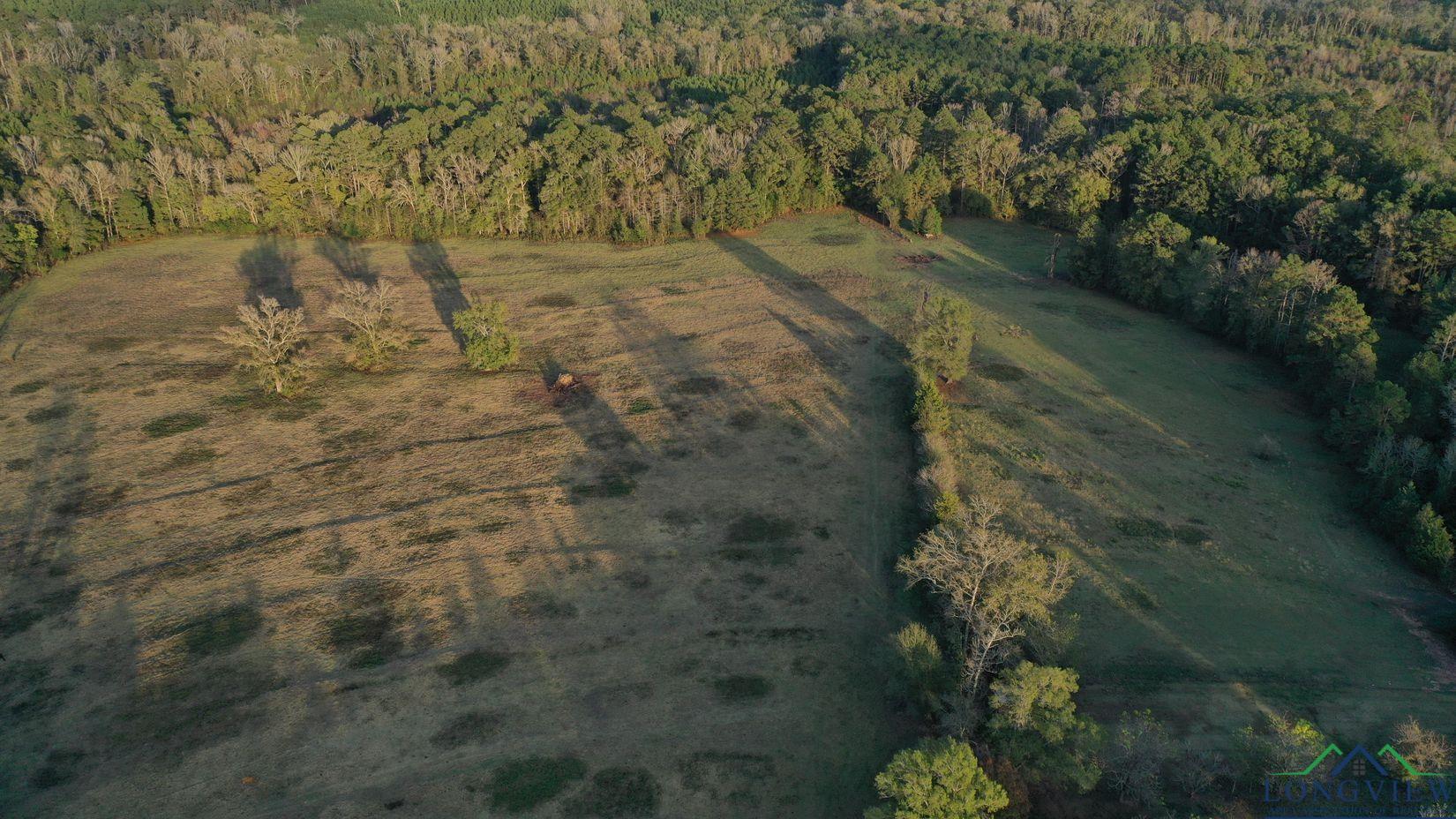 0000 County Road 1763, Linden, Texas image 10