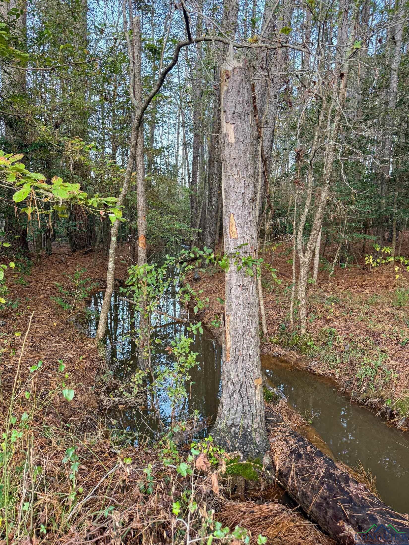 0000 County Road 1763, Linden, Texas image 16