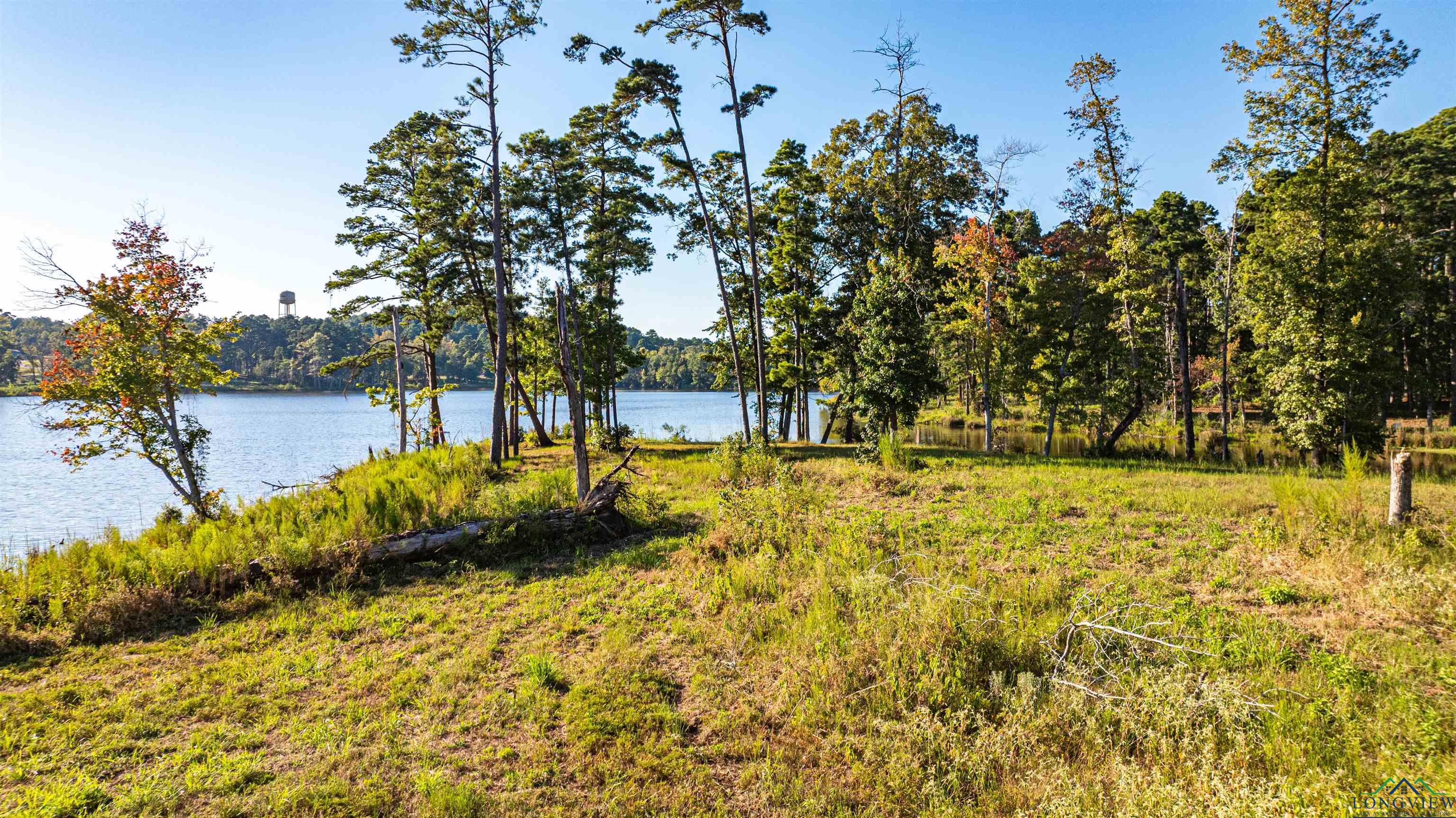 TBD (Lot 36) Marble Way, Hallsville, Texas image 4