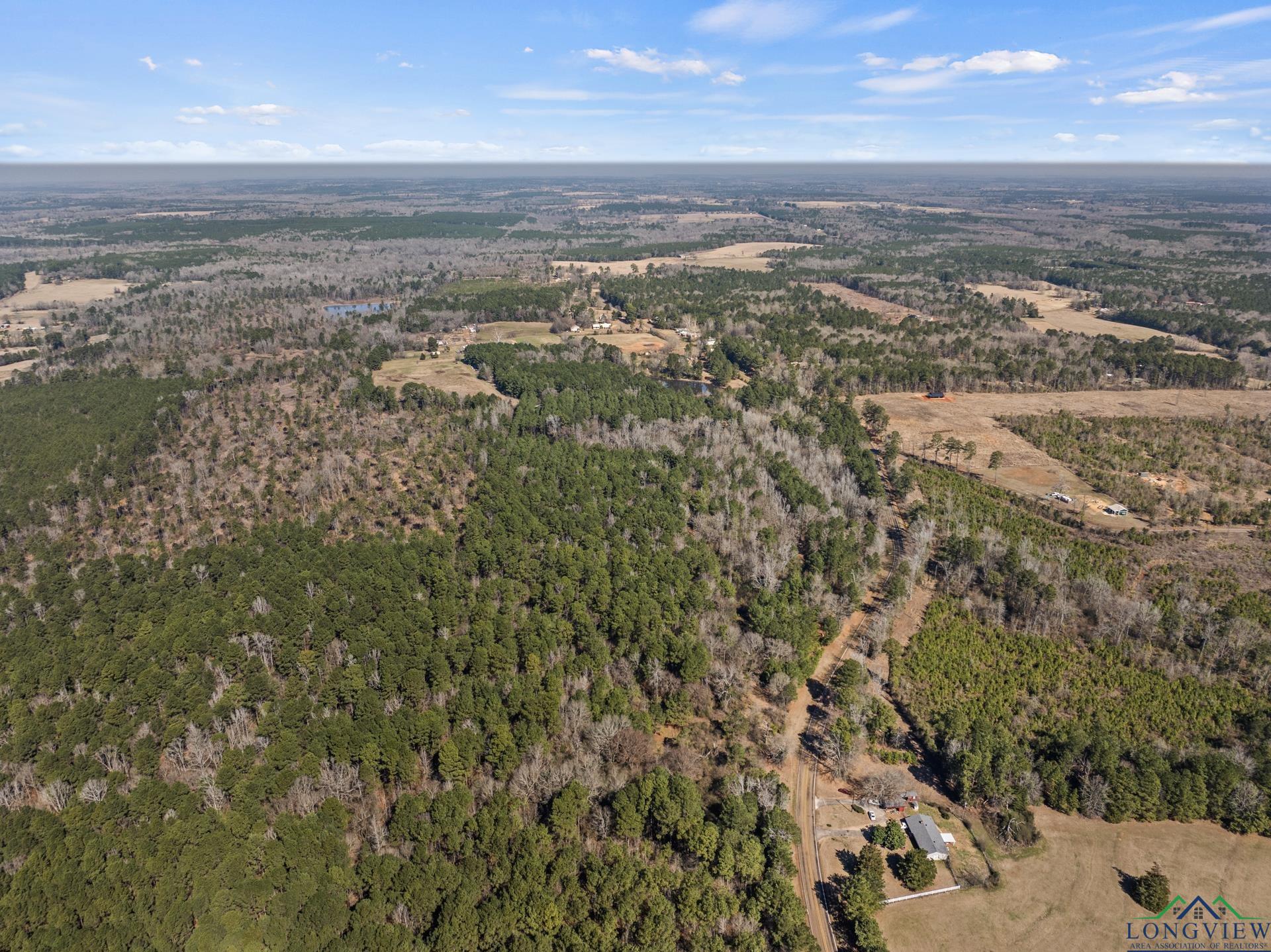 TBD Fm 250 N, Hughes Springs, Texas image 14