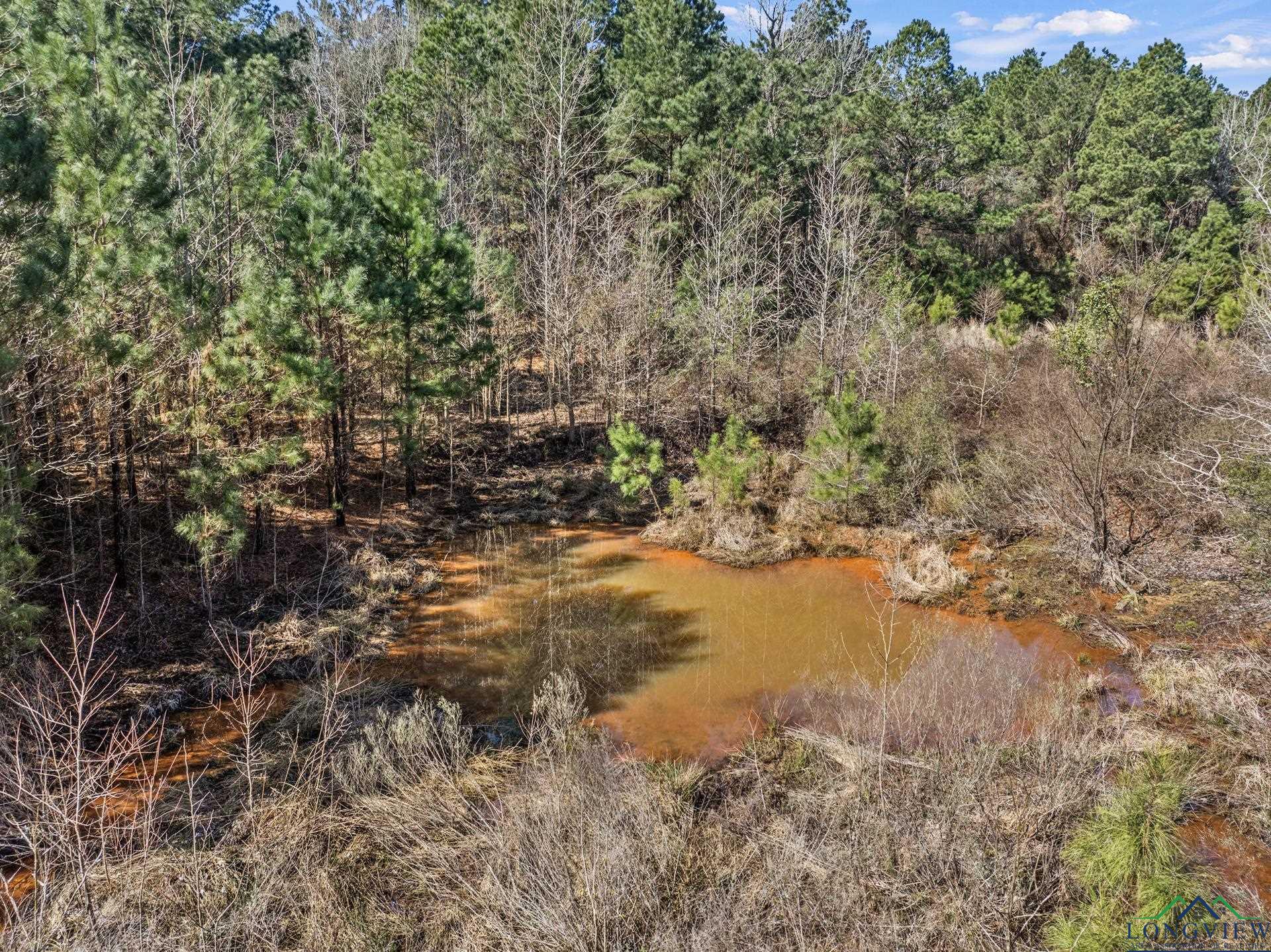 TBD Fm 250 N, Hughes Springs, Texas image 9