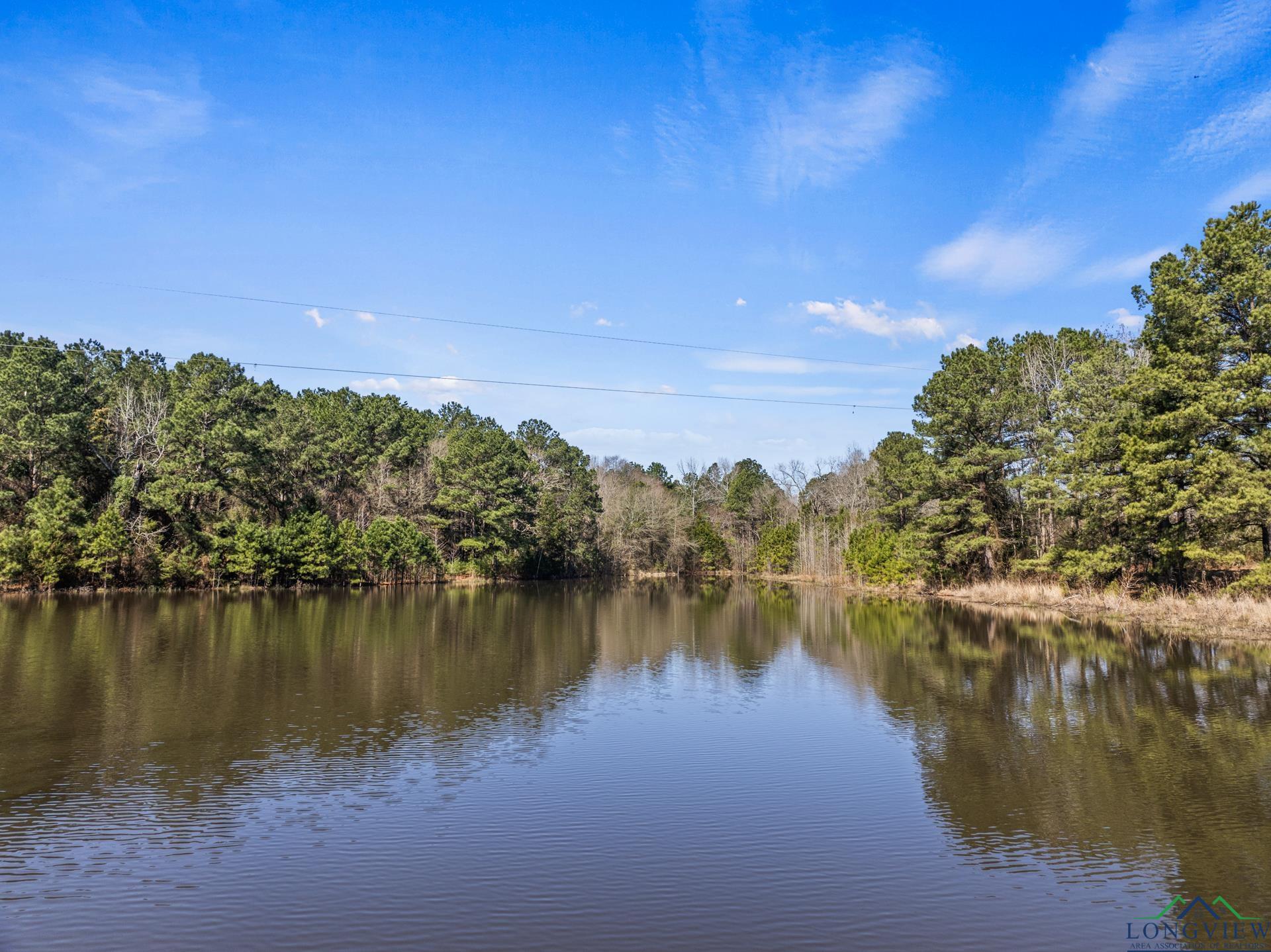 TBD Fm 250 N, Hughes Springs, Texas image 2