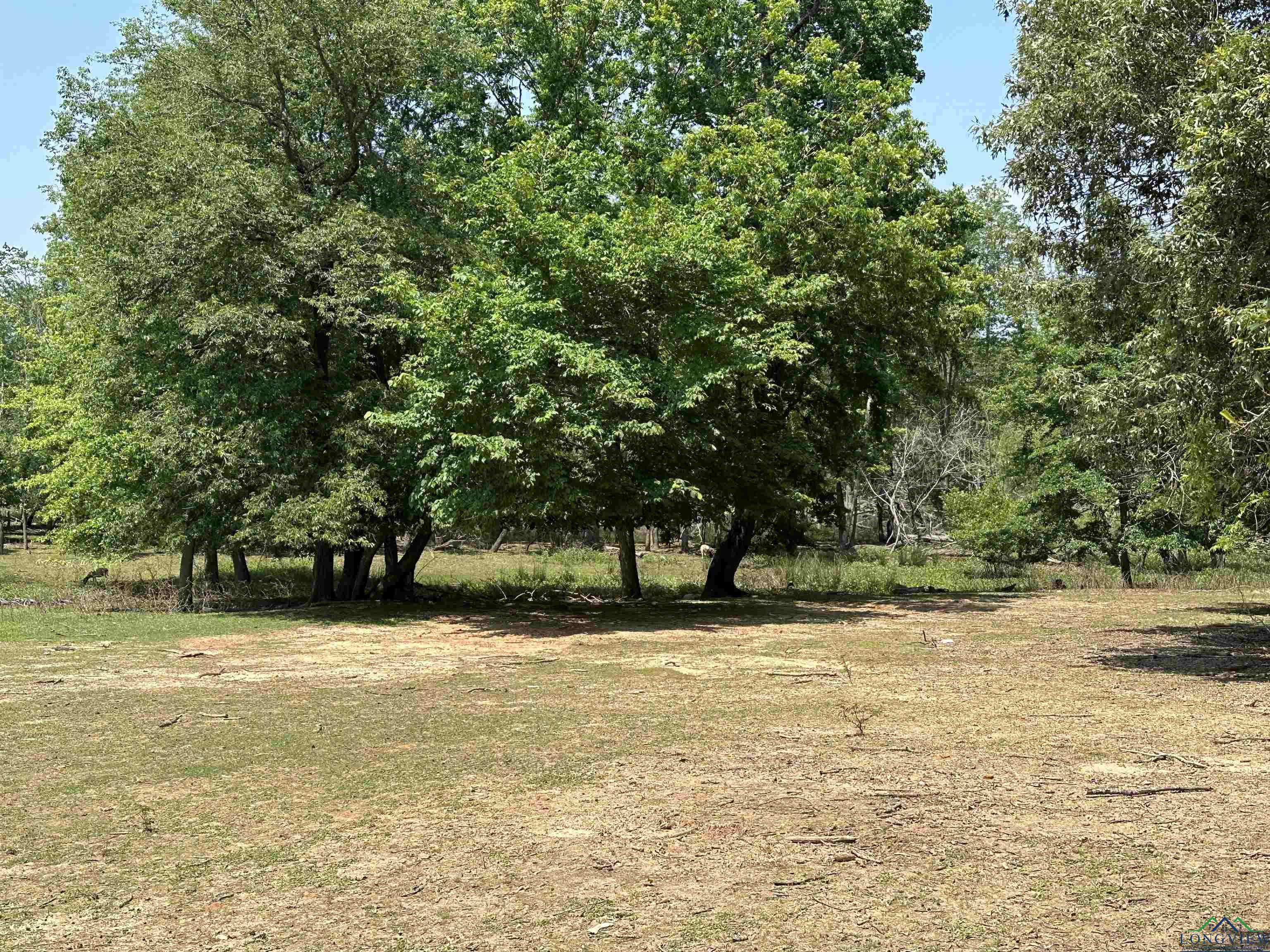 +/- 4.59AC TBD Kilgore Drive, Henderson, Texas image 11