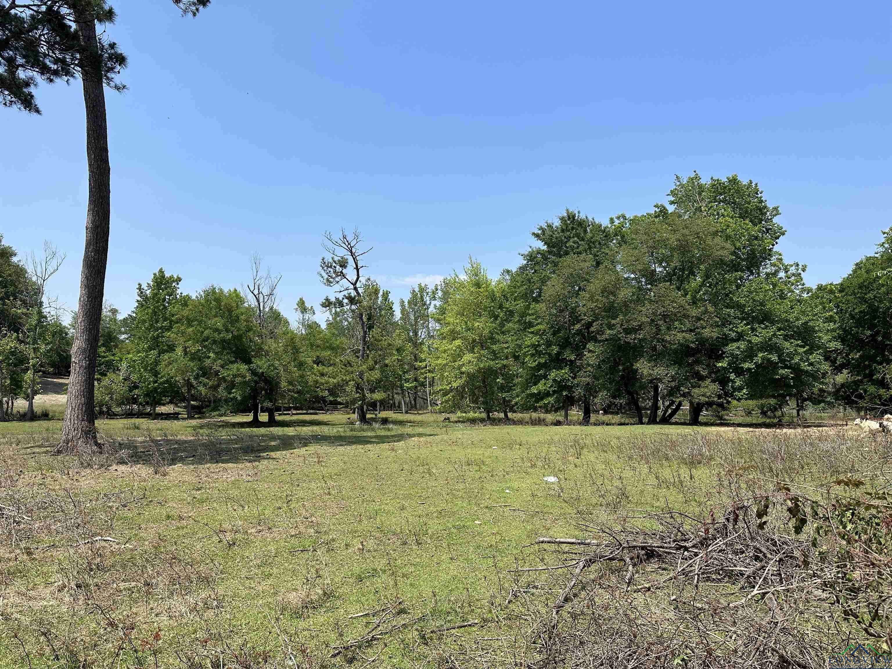 +/- 4.59AC TBD Kilgore Drive, Henderson, Texas image 14