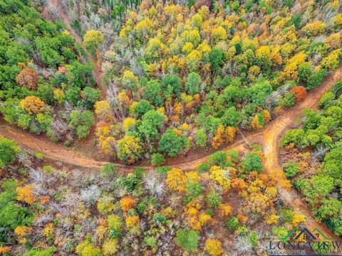 Vacant Land For Sale - TBD N Hwy 259<br/> Lone Star, TX 75668