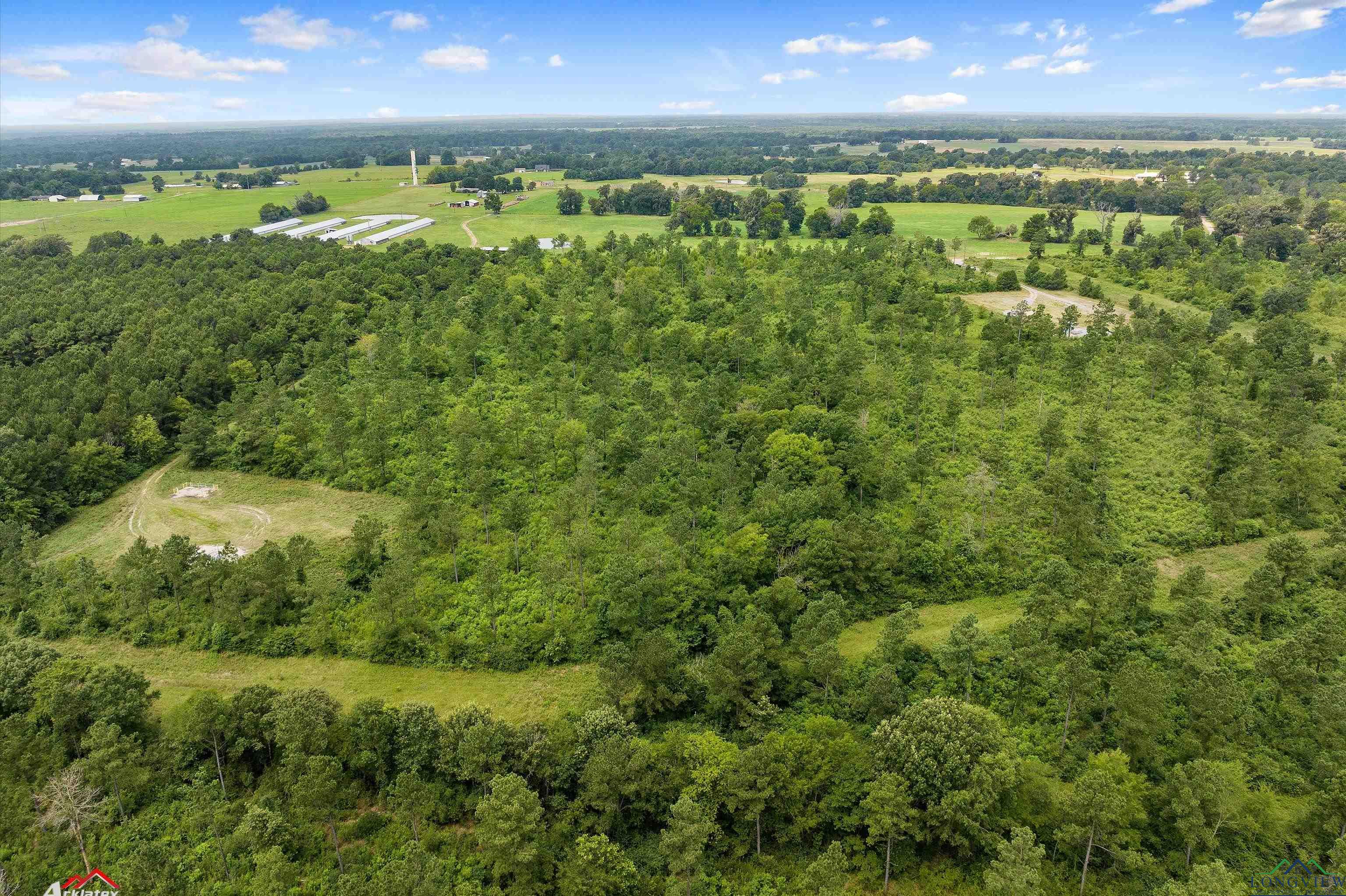 TBD Cr 103 Tract 4, Carthage, Texas image 3