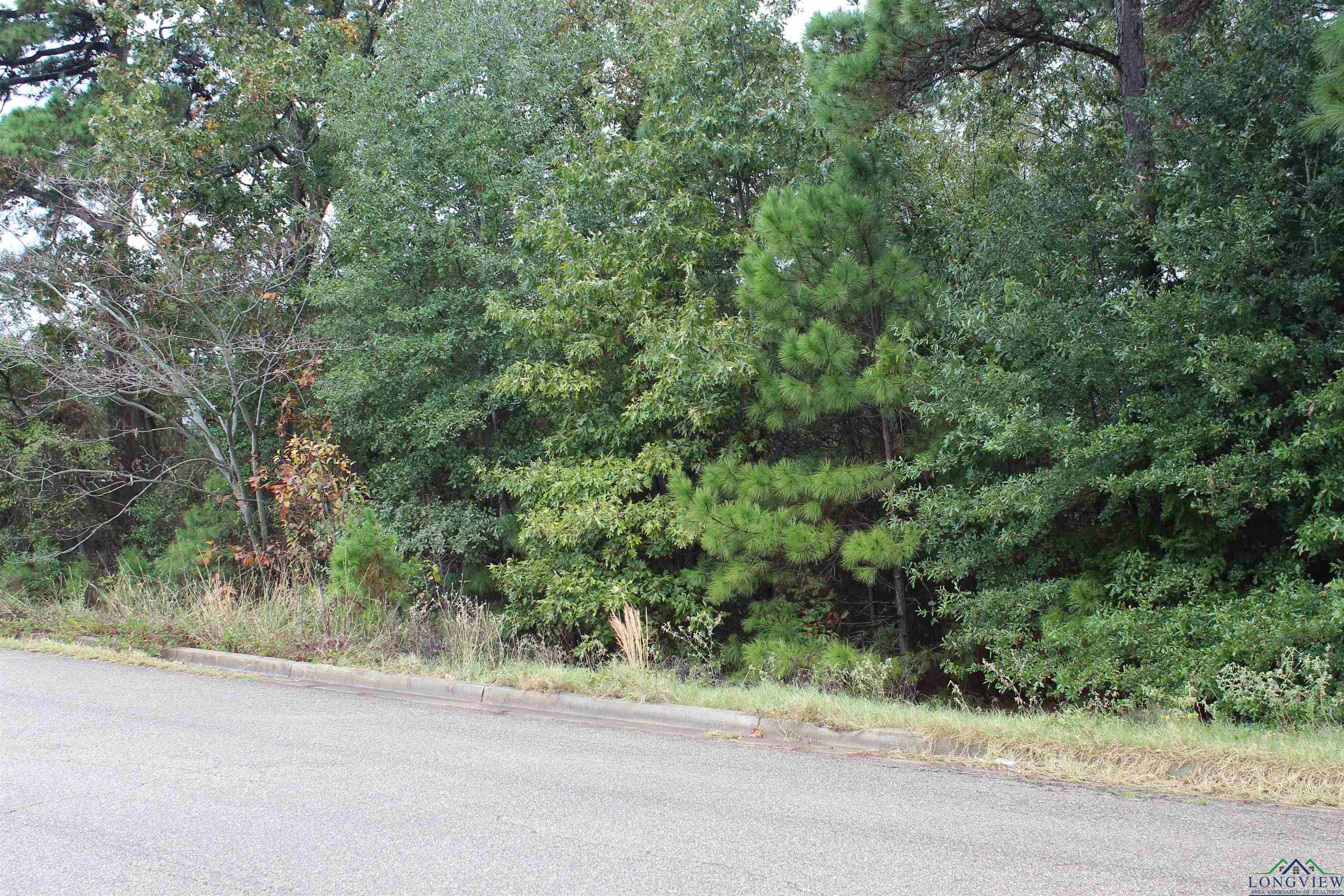 Lot 15A Cedar, Kilgore, Texas image 1