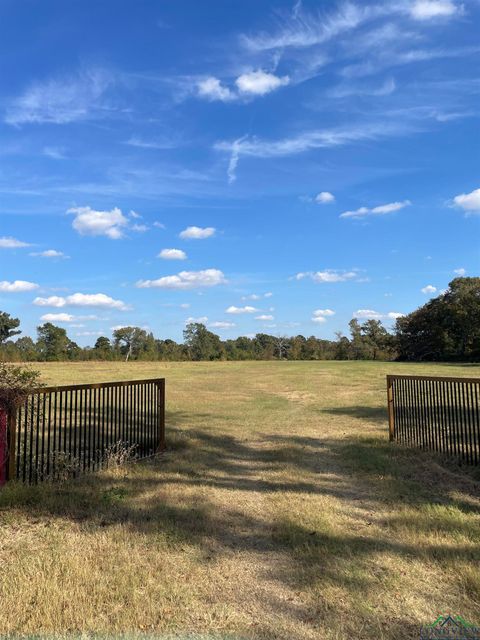 Vacant Land For Sale - TBD Cr 3216<br/> Camp County, Pittsburg, TX 75686