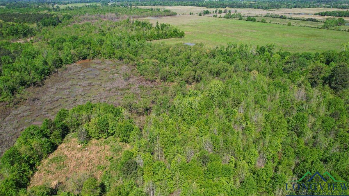 TBD County Road 1143, Daingerfield, Texas image 11