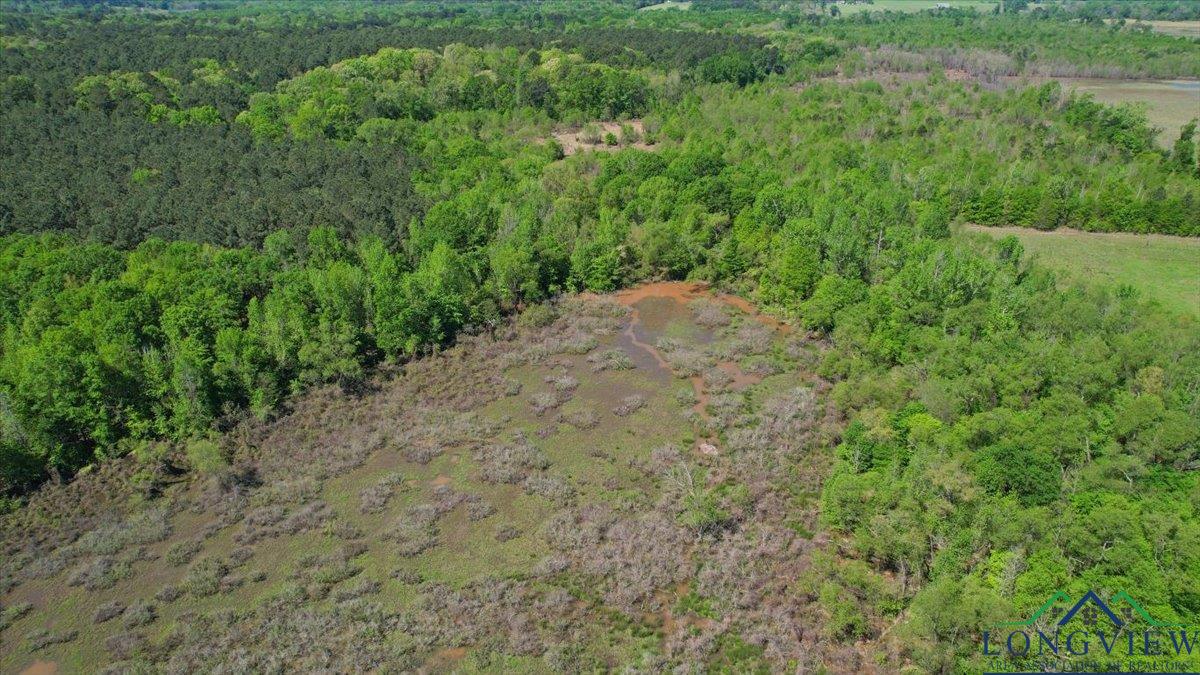 TBD County Road 1143, Daingerfield, Texas image 10