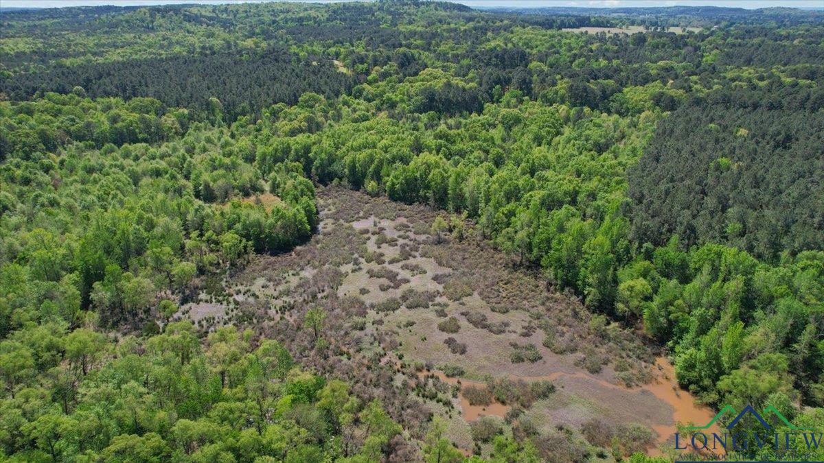 TBD County Road 1143, Daingerfield, Texas image 8