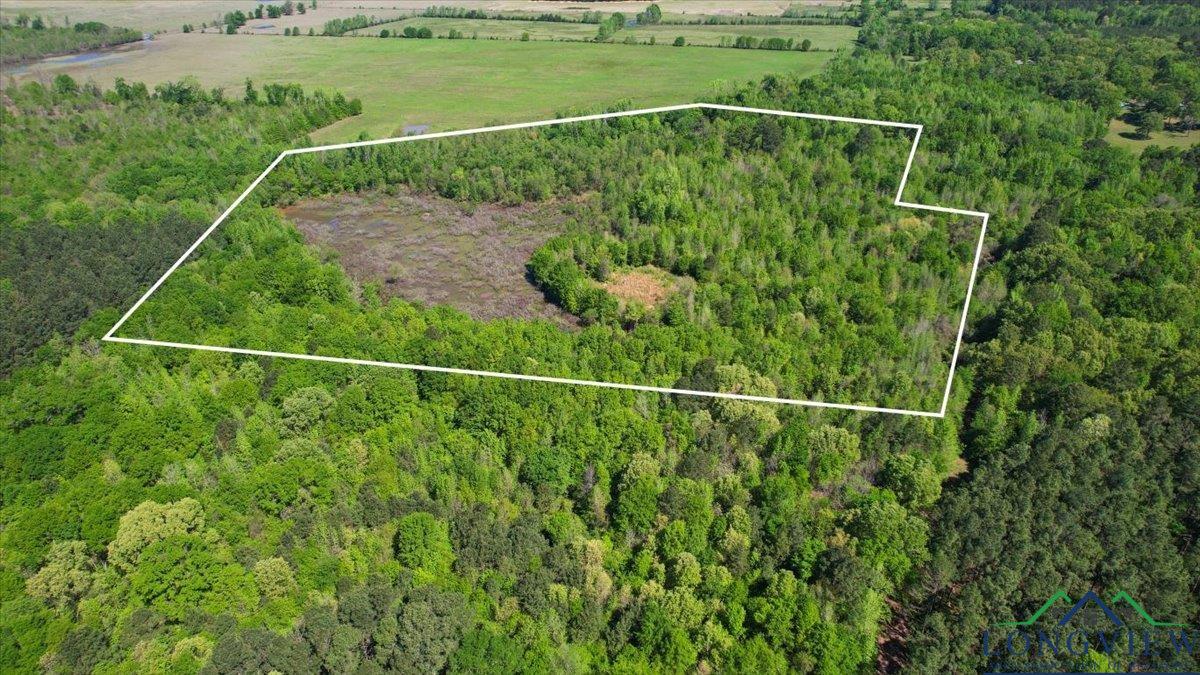 TBD County Road 1143, Daingerfield, Texas image 1