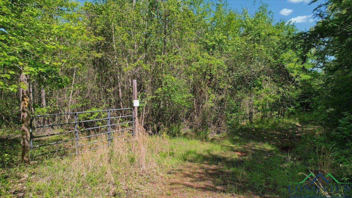 TBD County Road 1143, Daingerfield, Texas image 7