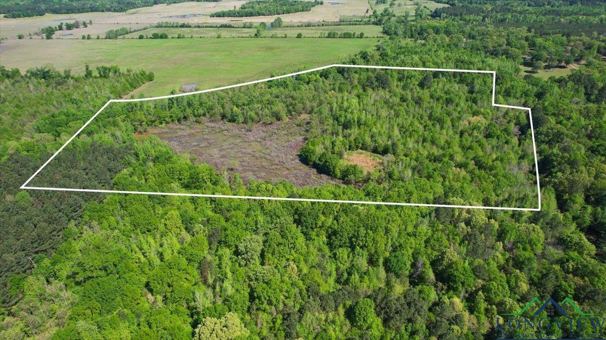 TBD County Road 1143, Daingerfield, Texas image 2