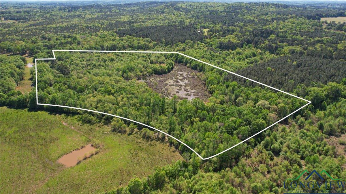 TBD County Road 1143, Daingerfield, Texas image 5