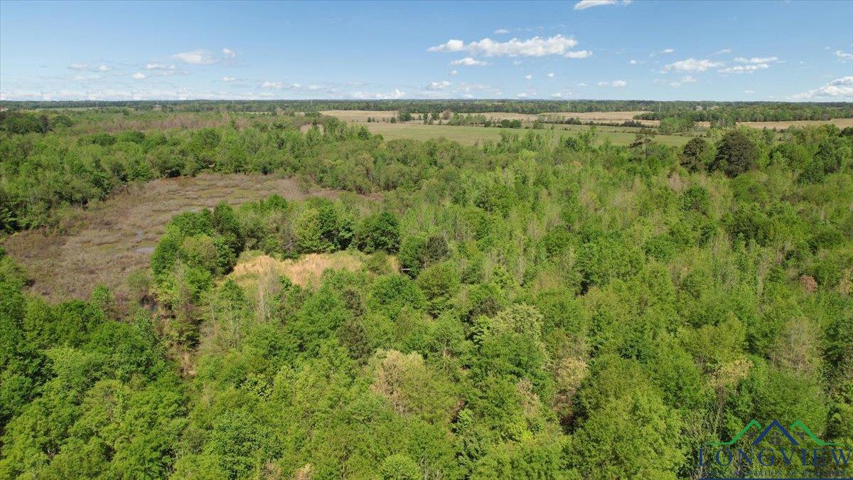 TBD County Road 1143, Daingerfield, Texas image 12