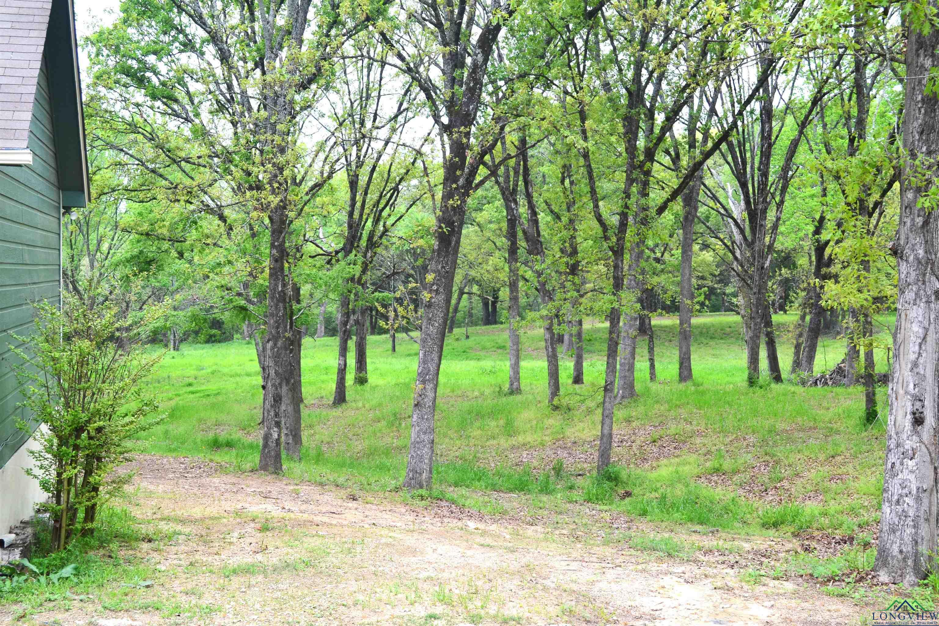 490 Farm Road 1735, Mount Pleasant, Texas image 24