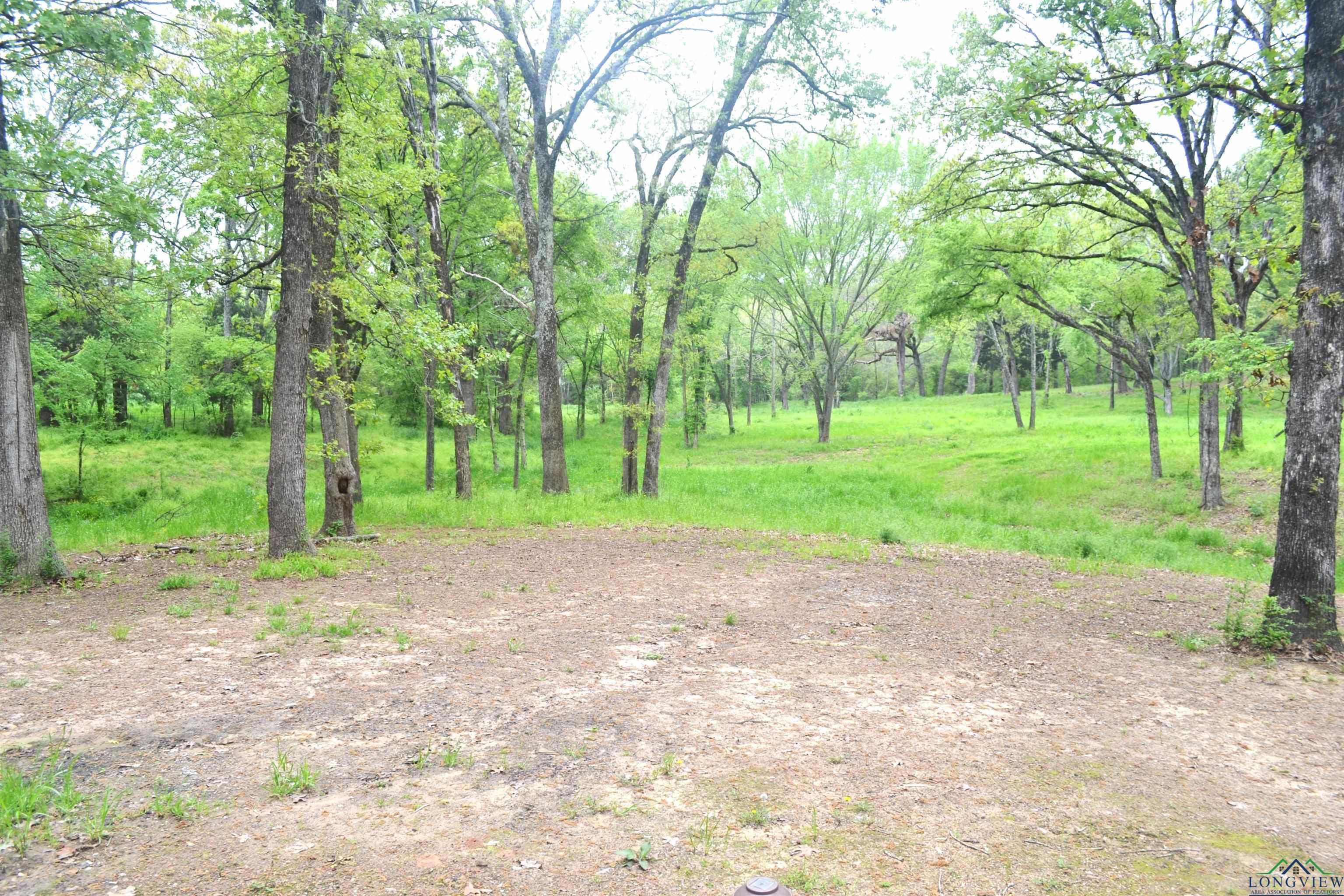 490 Farm Road 1735, Mount Pleasant, Texas image 20