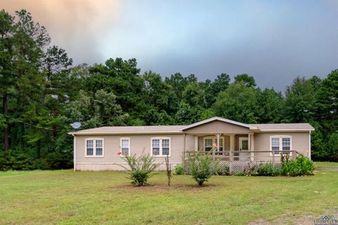 A home in Harleton