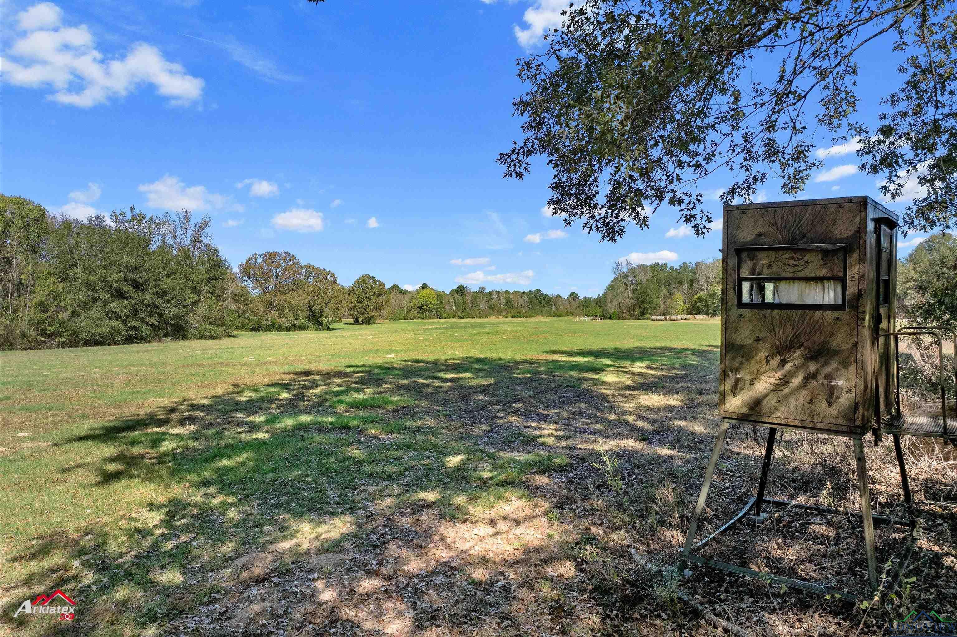 126.34 AC Cr 426, Henderson, Texas image 5